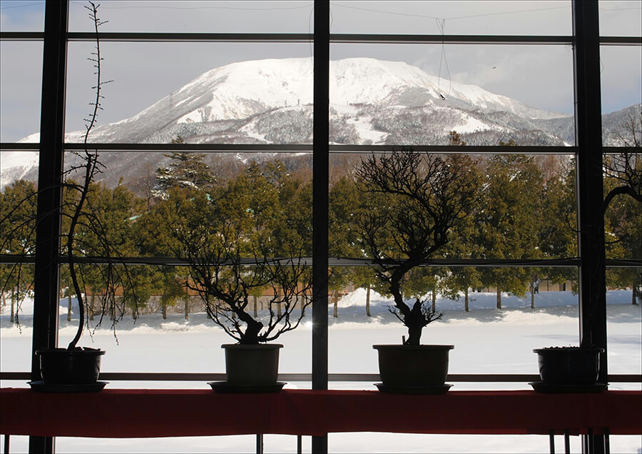 第42回伊吹盆梅展